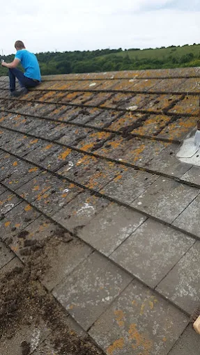 Moss build-up inspection